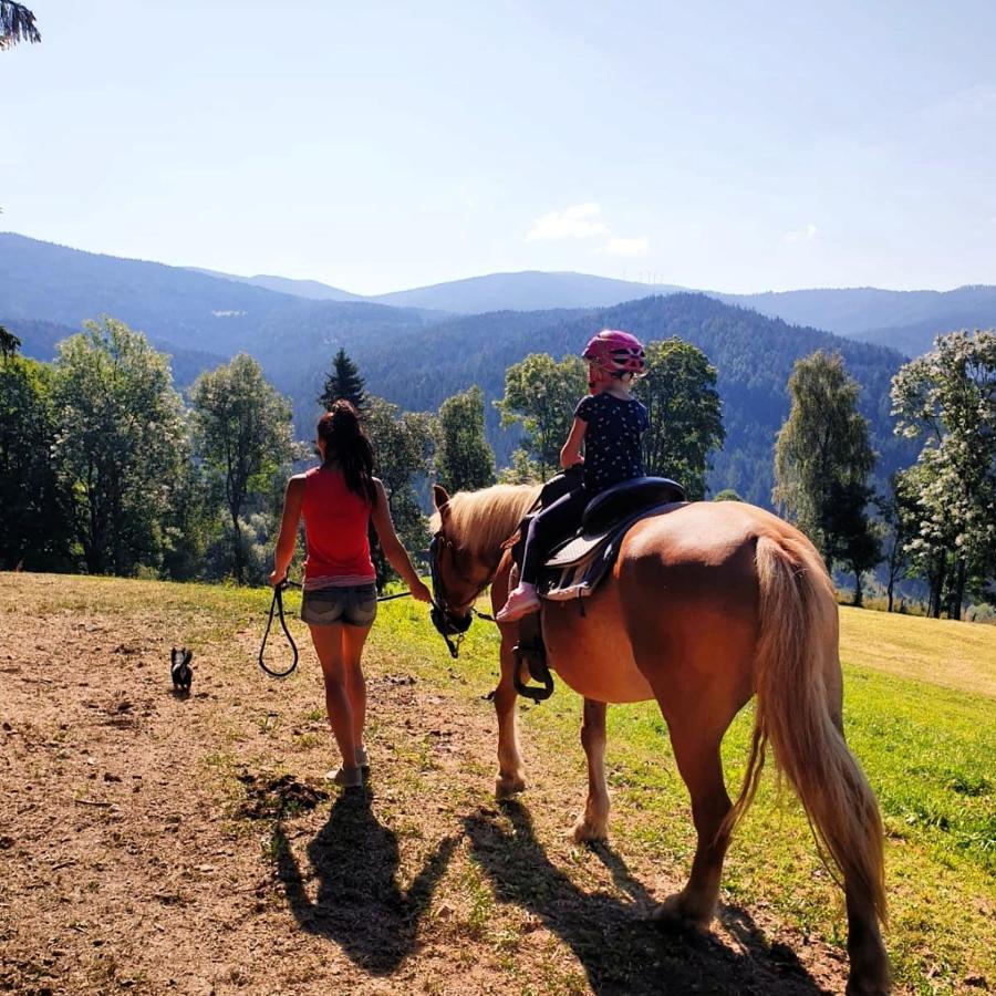 Erlebnisbauernhof Gutschi Ranch Kamp Luaran gambar