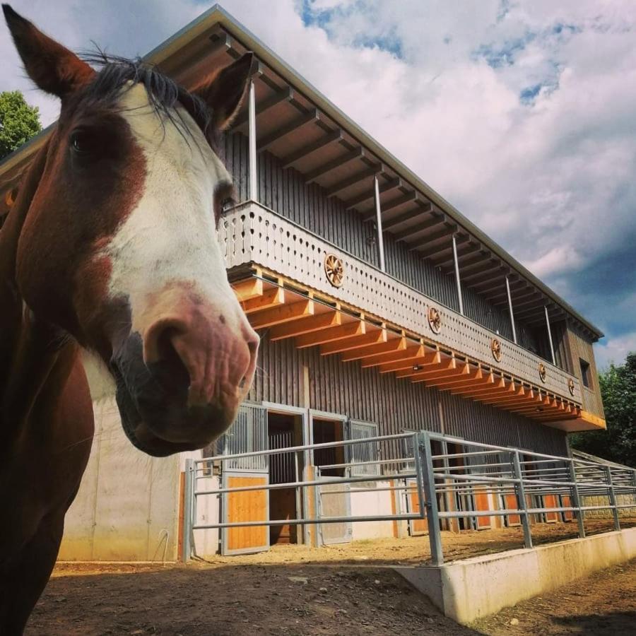 Erlebnisbauernhof Gutschi Ranch Kamp Luaran gambar