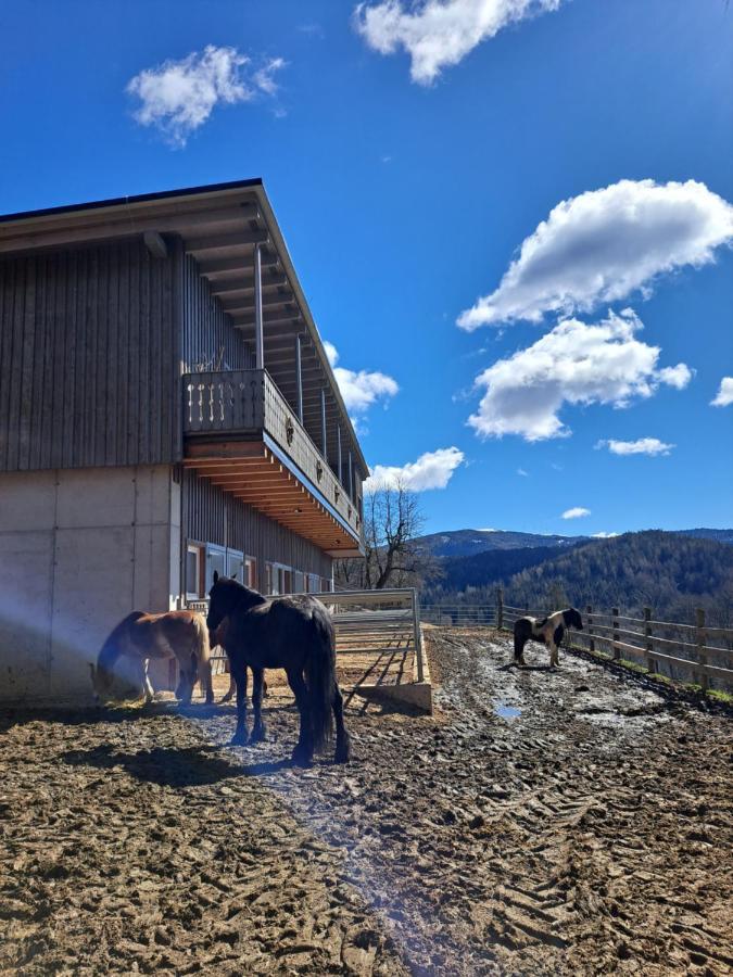 Erlebnisbauernhof Gutschi Ranch Kamp Luaran gambar