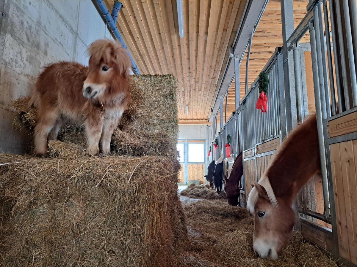Erlebnisbauernhof Gutschi Ranch Kamp Luaran gambar
